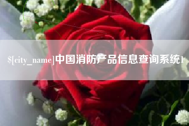 株洲中国消防产品信息查询系统1