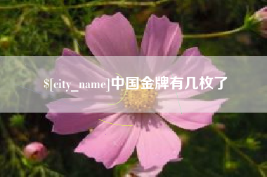 株洲中国金牌有几枚了