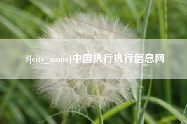 株洲中国执行执行信息网