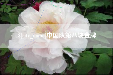 株洲中国队第八块金牌