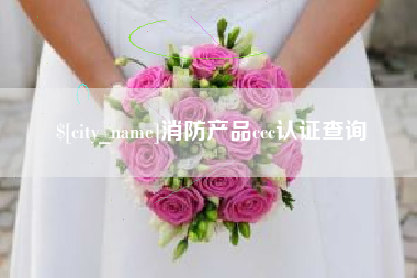 株洲消防产品ccc认证查询