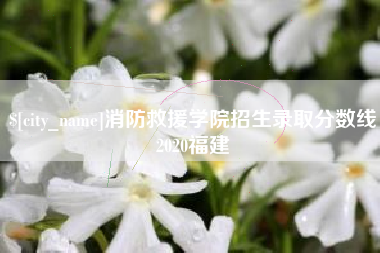 株洲消防救援学院招生录取分数线2020福建