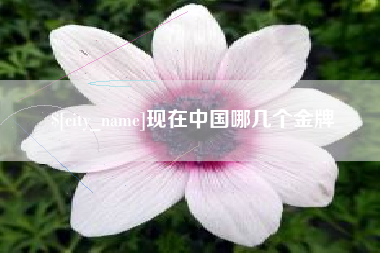 株洲现在中国哪几个金牌
