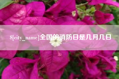 株洲全国的消防日是几月几日