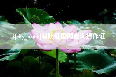 株洲消防证国网查询操作证