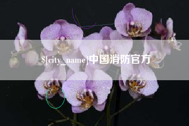 株洲中国消防官方
