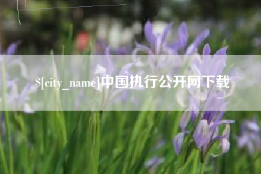 株洲中国执行公开网下载