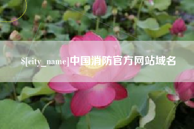 株洲中国消防官方网站域名