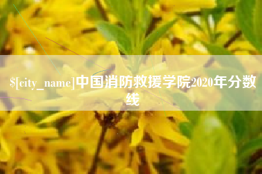 株洲中国消防救援学院2020年分数线