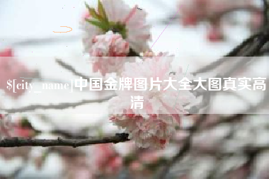 株洲中国金牌图片大全大图真实高清