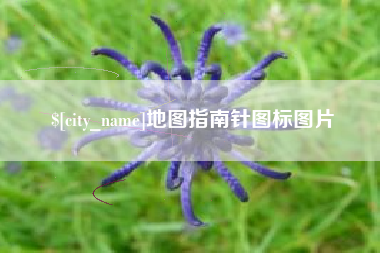 株洲地图指南针图标图片