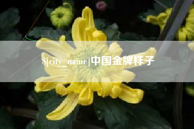 株洲中国金牌样子