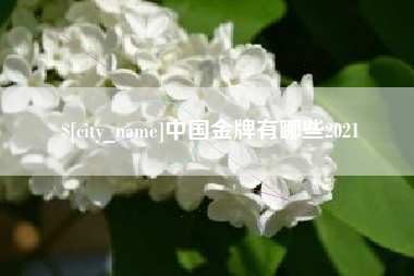 株洲中国金牌有哪些2021