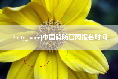 株洲中国消防官网报名时间