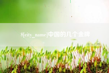 株洲中国的几个金牌