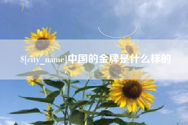株洲中国的金牌是什么样的