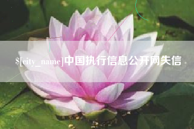 株洲中国执行信息公开网失信
