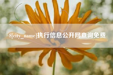 株洲执行信息公开网查询免费