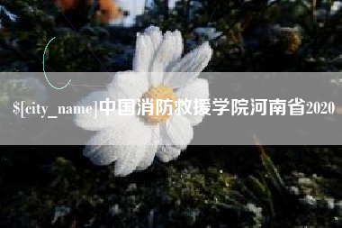 株洲中国消防救援学院河南省2020